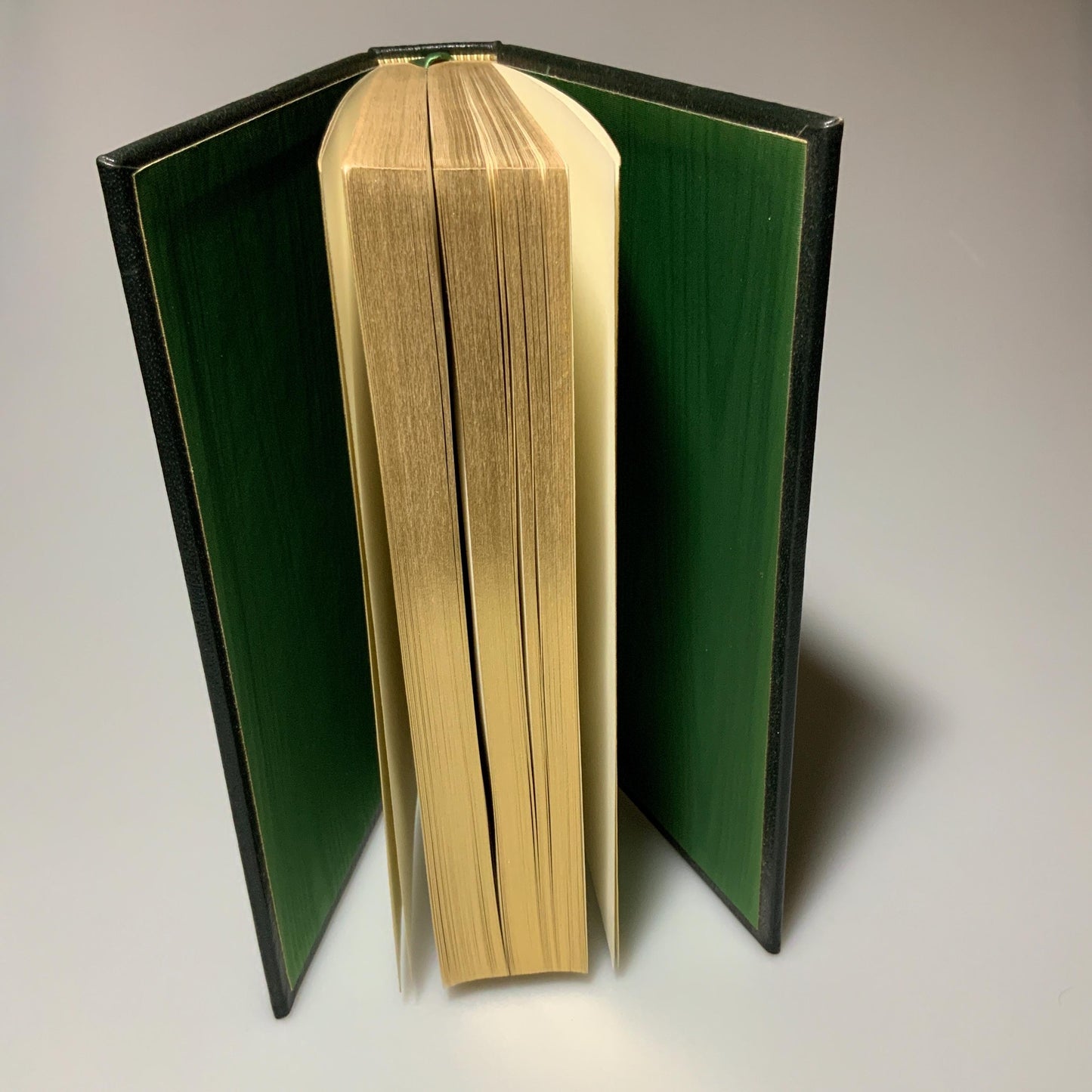 Franklin Mint Library: Essays by Michel de Montagne Limited Edition Genuine Leather MINT condition
