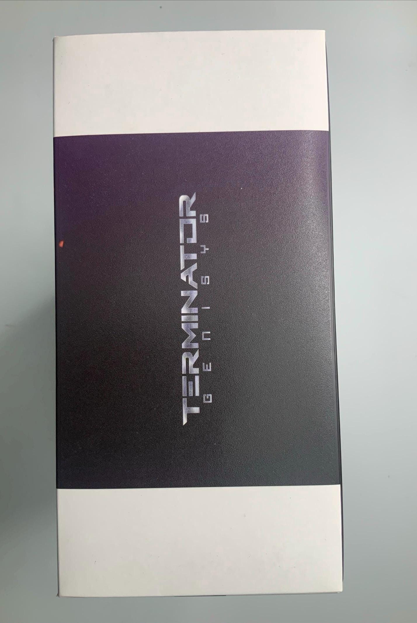 Hot toys Terminator Genisys Endoskeleton MMS352 1/6th Scale New In Box